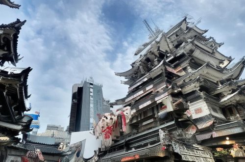 快手都是杨颖的粉丝吗为什么缩略图