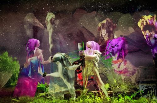 快手怎么找粉丝等级缩略图