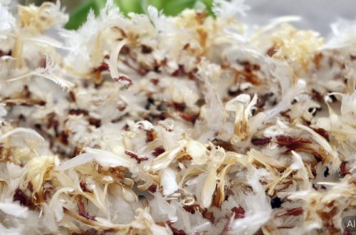 怎么挂粉丝牌微博缩略图