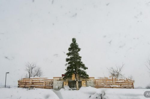 快手上粉丝数怎么增加缩略图