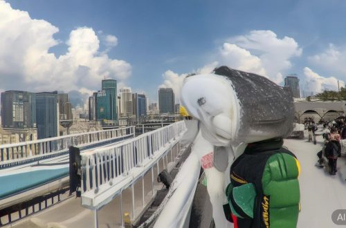 快手怎么隐藏粉丝数目缩略图