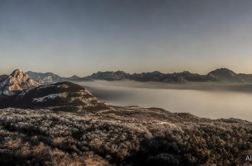 快手怎么粉丝量缩略图