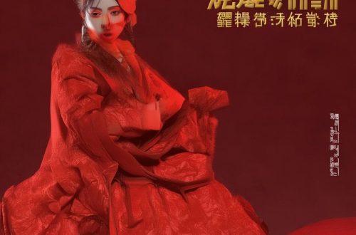 小红书mcn机构是做什么的缩略图